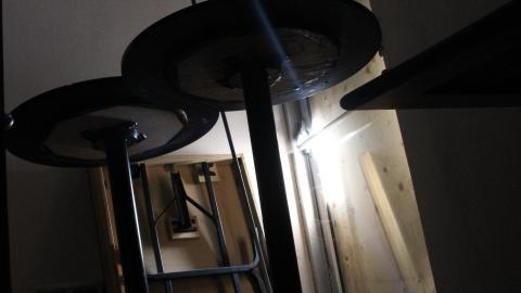 Got Pink? - IMG_5399.JPG