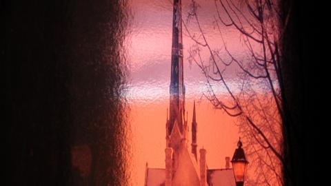 Got Pink? - IMG_5387.JPG