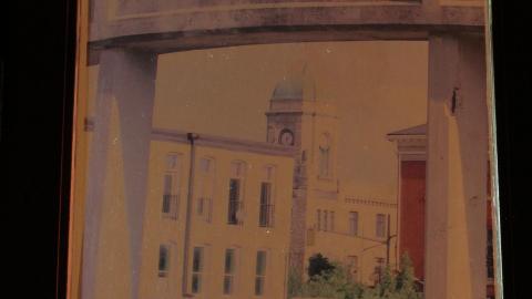 Got Pink? - IMG_5381.JPG