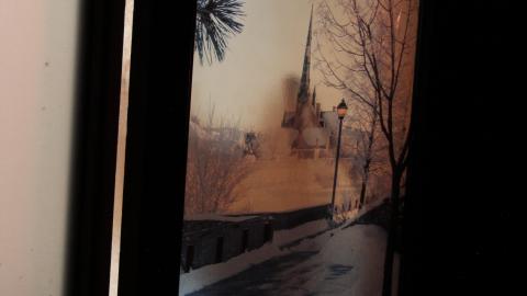 Got Pink? - IMG_5375.JPG