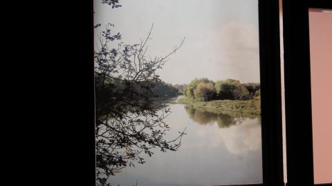 Got Pink? - IMG_5374.JPG