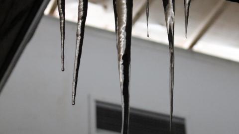 Got Pink? - IMG_5347.JPG