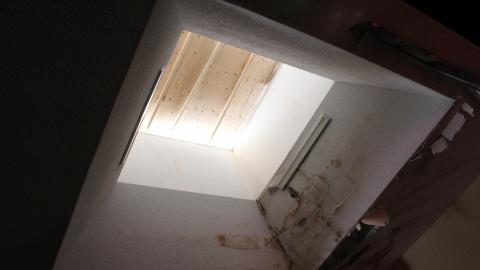 Got Pink? - IMG_5342.JPG