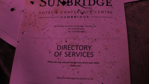 Got Pink? - IMG_5339.JPG