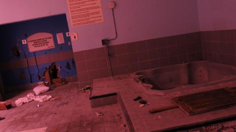 Got Pink? - IMG_5327.JPG