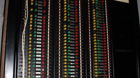 Got Pink? - IMG_5316.JPG