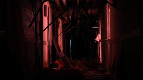 Got Pink? - IMG_5306.JPG