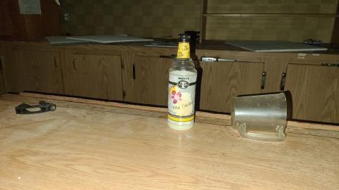 Destined for Demos - 20210115_152954.jpg