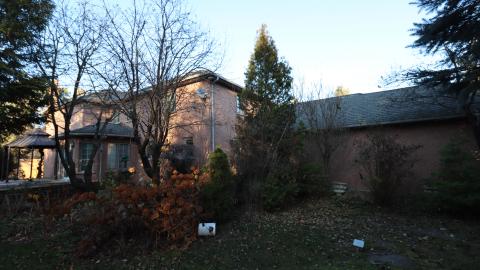 Fall '20 - IMG_5416.JPG