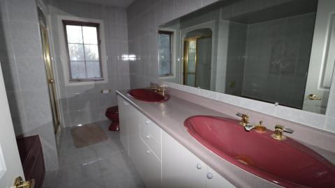 Fall '20 - IMG_5383.JPG