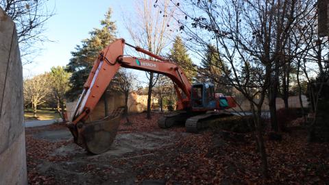 Fall '20 - IMG_5424.JPG