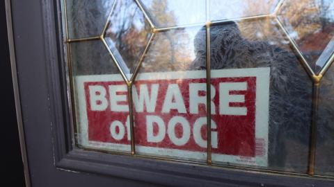 Fall '20 - IMG_5429.JPG