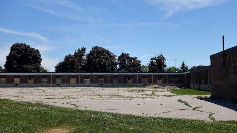 Gertrude June '20 - DSC02145.JPG