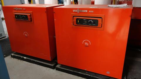 Gertrude June '20 - DSC01996.JPG