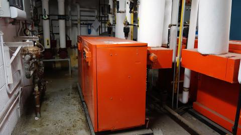 Gertrude June '20 - DSC01998.JPG