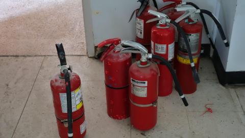 Gertrude June '20 - DSC02026.JPG