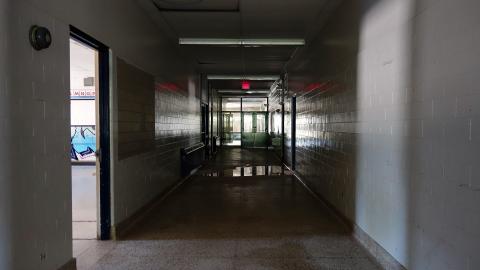 Gertrude June '20 - DSC01899.JPG