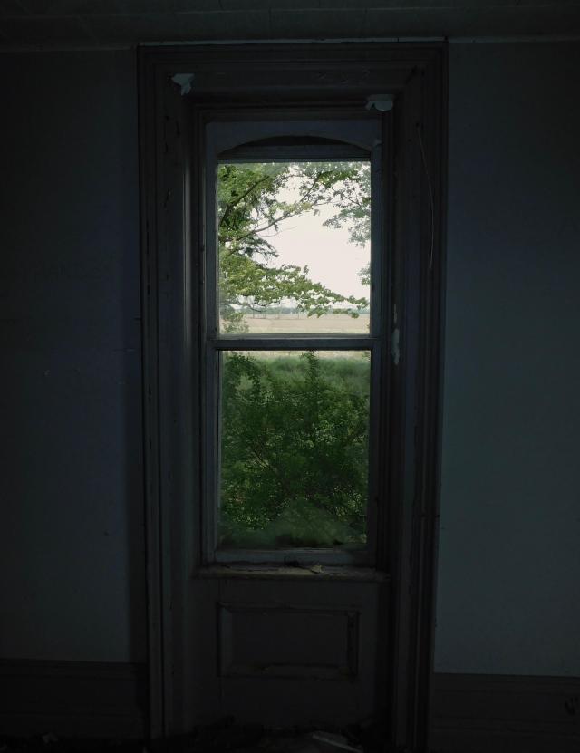 May 2020 - windows 1.jpg