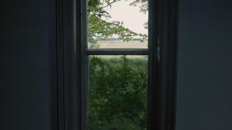 May 2020 - windows 1.jpg