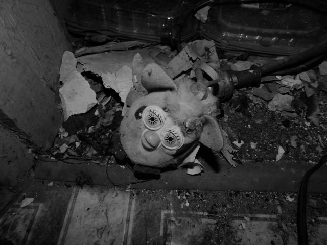 May 2020 - furby.jpg