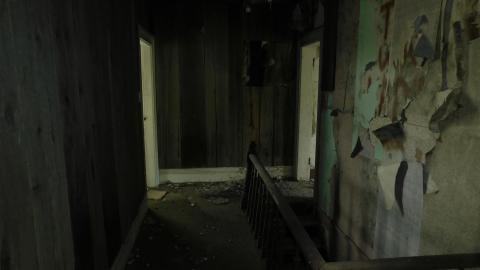 May 2020 - upstairs hall 1.jpg