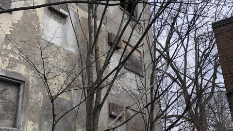 Jan 2021 - CE6674F7-4B90-461C-8D40-8C0F27EEDE87.jpeg