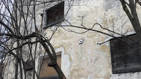 Jan 2021 - 4FC0E95D-5005-4A5C-9386-05DA2CE2E446.jpeg