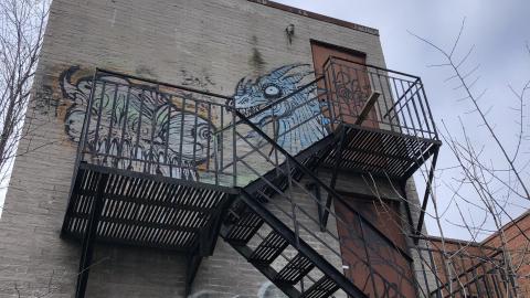 Jan 2021 - 51F4E965-B43D-42EB-A16C-B68D9BA0BEC6.jpeg