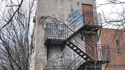 Jan 2021 - 56A58BD9-E0C6-42C8-9424-769125FDEC1D.jpeg