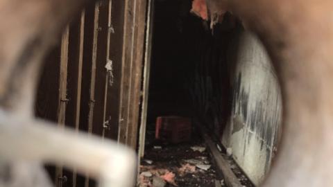 Jan 2021 - F44EC359-D171-4AF4-A6EE-186244B013B2.jpeg