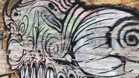 Jan 2021 - EE0E1F97-C046-4E7C-9658-DBBDF60142EE.jpeg