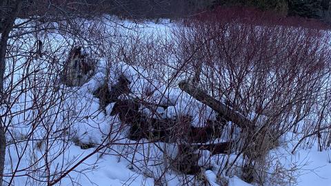 2021 - C70D1D2B-BA2D-4619-B69B-DFCCD191ED4C.jpeg