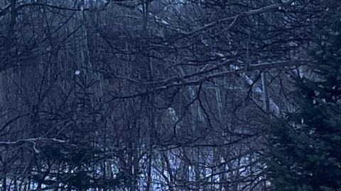 Photo from What’s left...