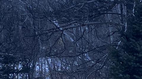 Photo from What’s left...