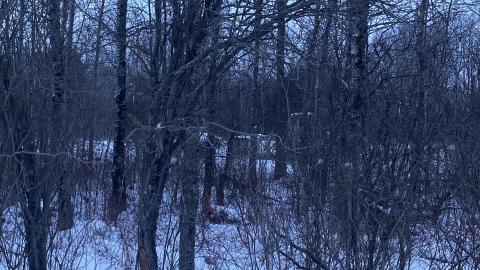 Photo from What’s left...