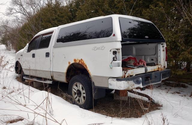 Unblooming Emptiness photo 4