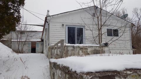 Unblooming Emptiness photo 3