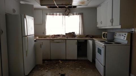 Unblooming Emptiness photo 2