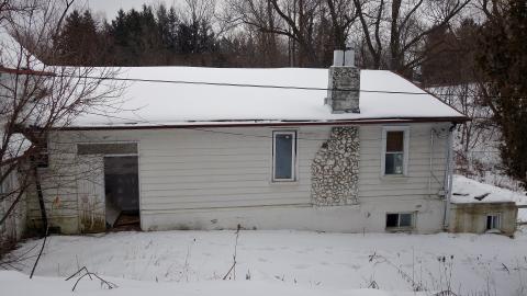 Unblooming Emptiness photo 5