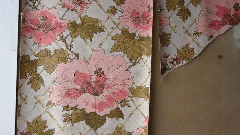 Jan '21 - DSC07673.JPG