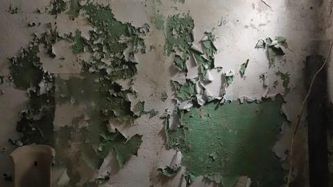 Jan '21 - DSC07677.JPG