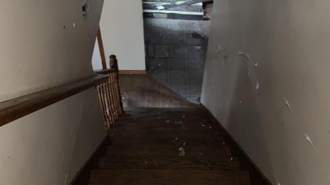 Pizzaiolo - IMG_3216.JPG