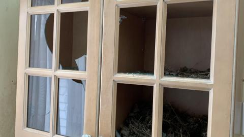 Pizzaiolo - IMG_3230.JPG