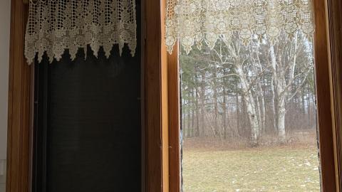 Pizzaiolo - IMG_3233.JPG