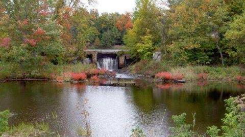 Photo from A Queen's Sweep