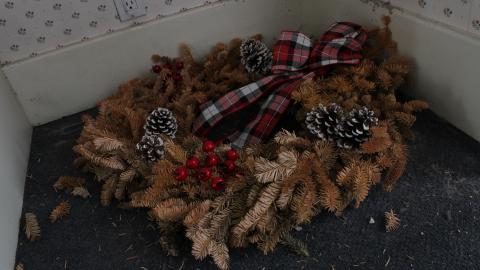 There Are Many Like It... - IMG_5961.JPG