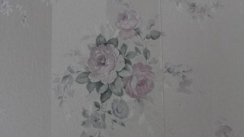 There Are Many Like It... - IMG_5968.JPG