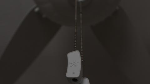 There Are Many Like It... - IMG_5990.JPG