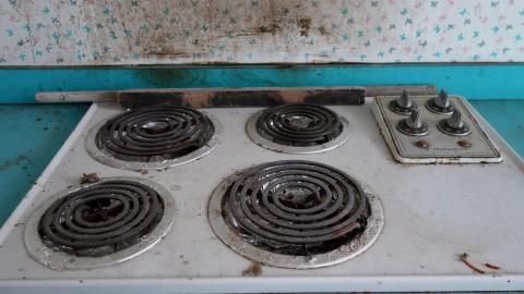 Photo from In View June '20