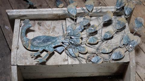 In View June '20 - DSC03053.JPG